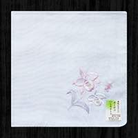 Светло -голубой фон