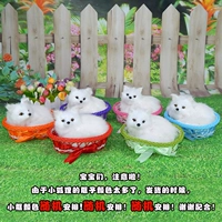 Маленький Hling -По -белый Fox+Random Color Box