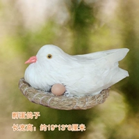 Голубь для высиживания яиц + соломенный коврик