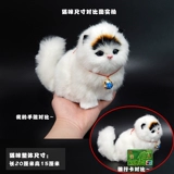 Плюшевая игрушка, милая кукла, котенок, кот, подарок на день рождения