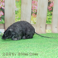 Большой, 19см, 9см