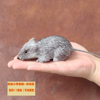 Натуральная кожа мышино-зеленого серого размера маленького размера.