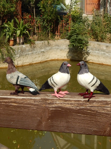 Покупайте товары: украшения с имитацией голубя, куклы-фальшивые голуби, свадебные украшения, модели голубей-животных, птицы, мягкие изделия и реквизит с голубями мира.