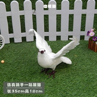 Стоят крылатые голуби -кофейные рот и ноги