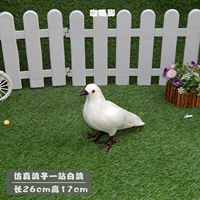 Белая станция голубь -рот