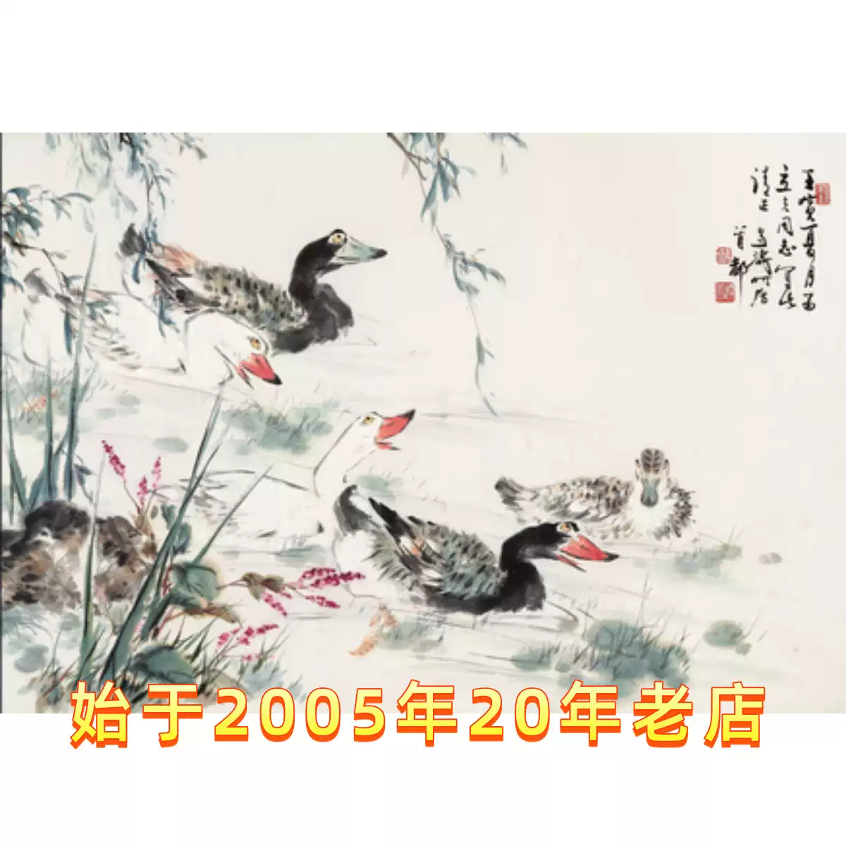 丑小鸭| italki, image size:1200x1200