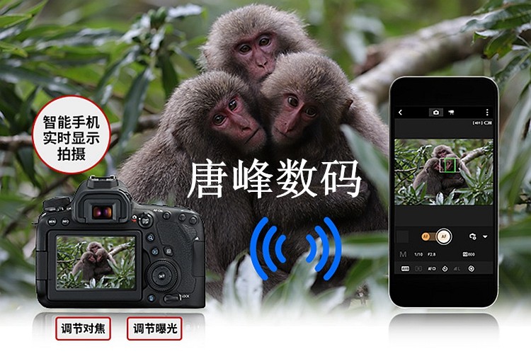 Máy ảnh DSLR Canon Canon 6D2 + 24-70 F2.8 + 70-200 F2.8II 1DX26DMark2 - SLR kỹ thuật số chuyên nghiệp máy ảnh kỹ thuật số canon