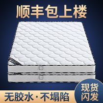 Simmons spring mattress cushion economical 1 5m1 8 m coconut palm cushion soft and hard moderate thickening 20cm household