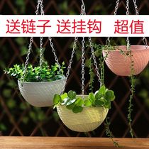 绿萝吊兰吊篮花盆垂吊悬挂式养种绿萝专用室内自吸水塑料绿植花盆