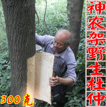 Eucommia Shennongjia wild old eucommia skin thick skin Eucommia wine tea can go to the old skin to make soup tonic 300g