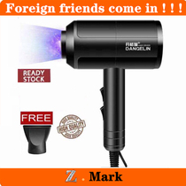 Hair Dryer blower Salon Grade Professional Hot Cold Air