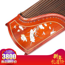 Dingyun Guzheng flagship store 902BH lotus pink lotus light butterfly adult professional mahogany playing Zheng