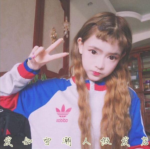 Perruque Les cheveux longs - Ref 2609100 Image 13