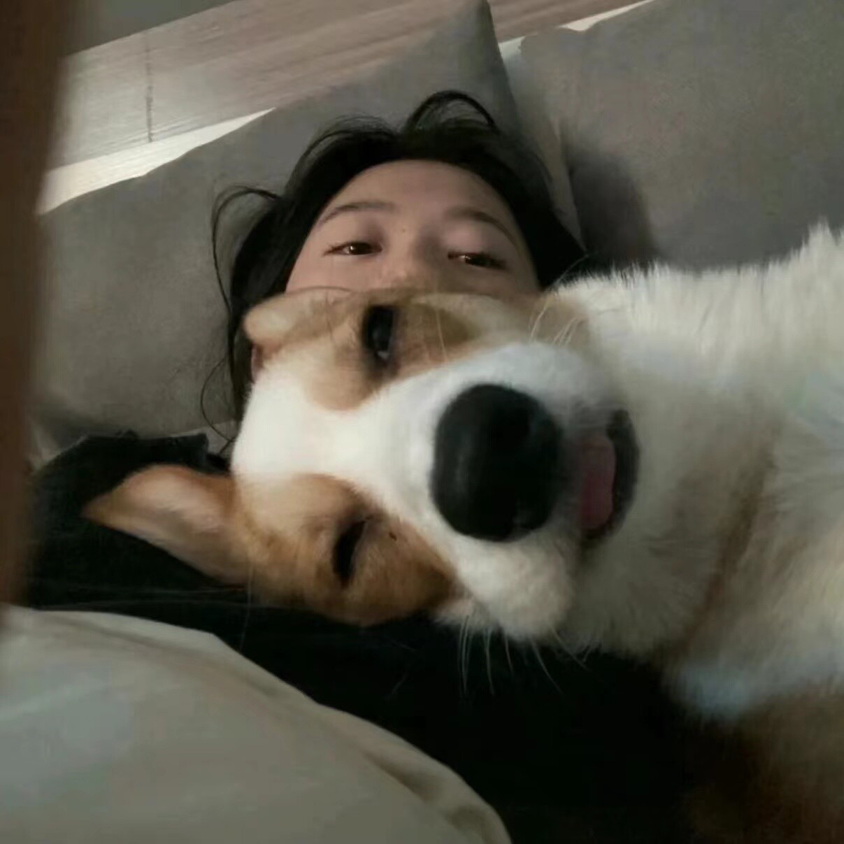 不想加油