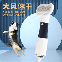 Sèche-cheveux pour animaux de compagnie sèche-cheveux pour chien sèche-cheveux tout-en-un pour chat peigne de coiffure Teddy Bichon poméranien