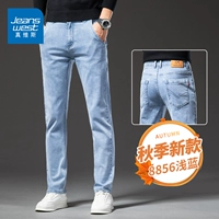 8856 Голубой H [Осенний стиль]