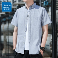 Светло -серый [дружелюбный хлопок]