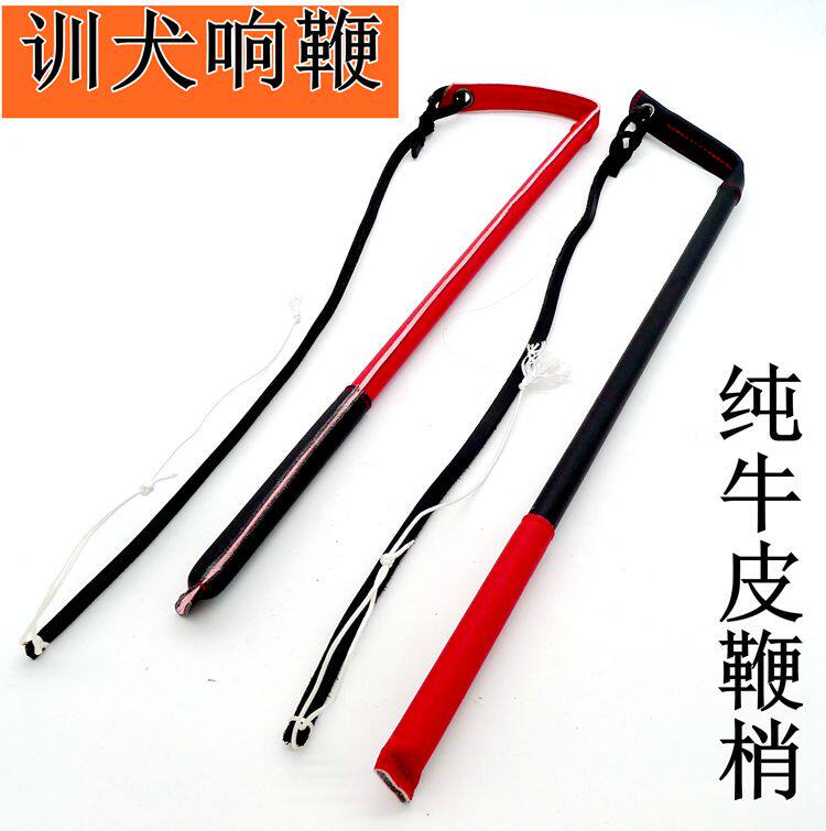Train dog bull whip training dog whip, bull whip training dog dog dog dog dog dog dog dog