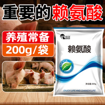 Lysine lysine for pigs cattle sheep chickens ducks and poultry for growth-promoting feed additives amino acids livestock and aquatic products