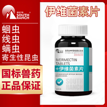 Veterinary drugs veterinary albendazole ivermectin tablets various nematodes tapeworm pig cattle and sheep Anthelmintic