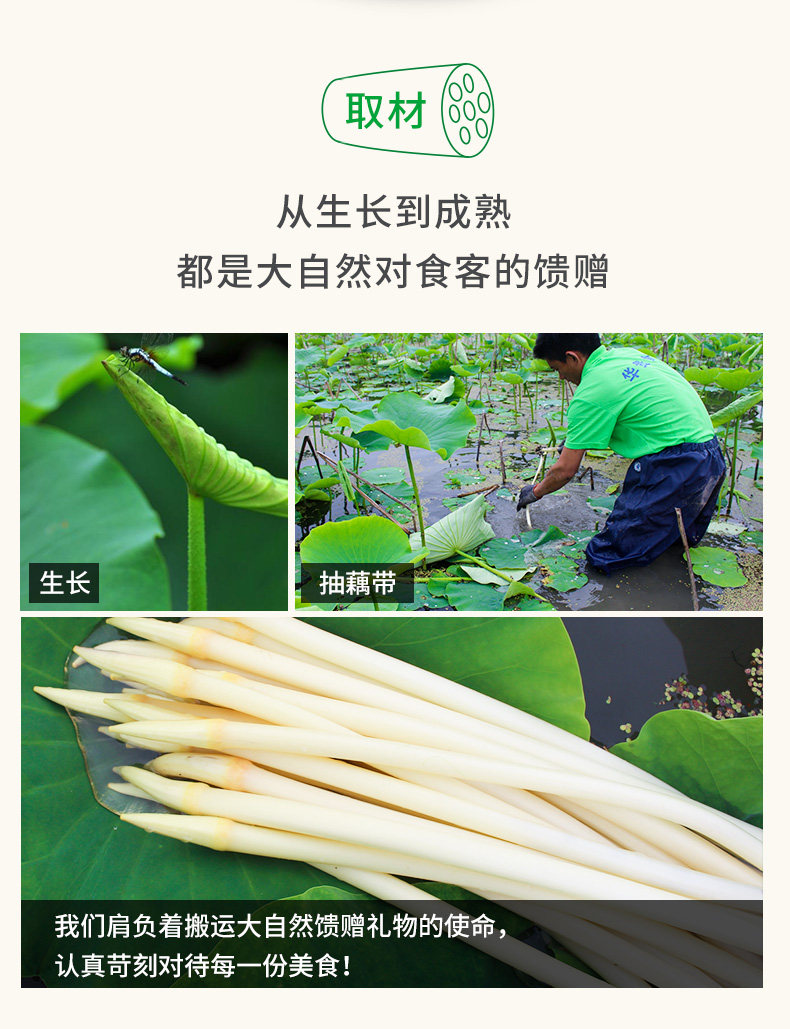 国家地理标志保护产品 洪湖农家 泡椒酸辣藕带 400g*3袋 图5