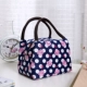 Túi xách nylon dày túi xách ăn trưa túi ăn trưa túi vải khăn tay mẹ nhỏ túi vải tay túi nhỏ túi nữ - Hộp cơm điện sưởi ấm