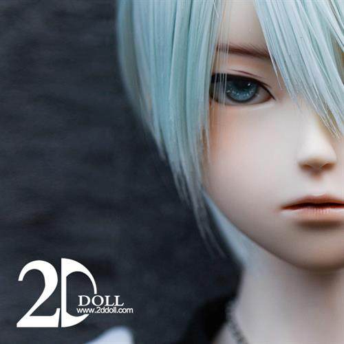 2ddoll