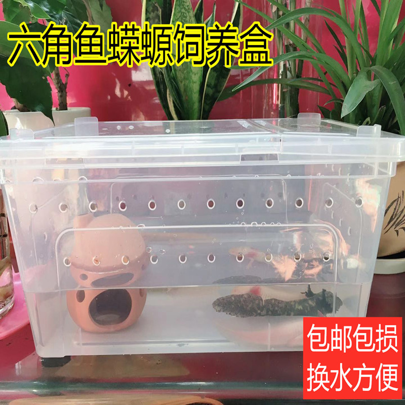 免運 六角恐龍專用魚缸飼養盒金魚錦鯉活體魚缸高透明超大容量烏龜缸basi Yahoo奇摩拍賣 免運 六角恐龍專用魚缸飼養盒金魚錦鯉活體魚缸高透明超大容量烏龜缸basi Yahoo奇摩拍賣