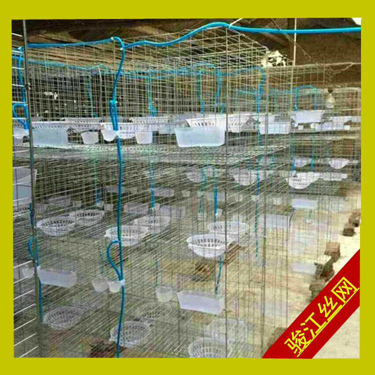 Bán chạy nhất, in đậm 12, 16 chuồng nuôi, cung cấp chim bồ câu, bồ câu, lồng, chim bồ câu, lồng phù hợp, lồng nuôi chim bồ câu - Chim & Chăm sóc chim Supplies lồng nuôi vẹt