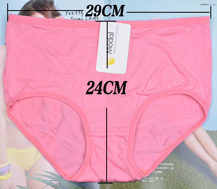 Slip jeunesse en coton - Ref 644063 Image 40