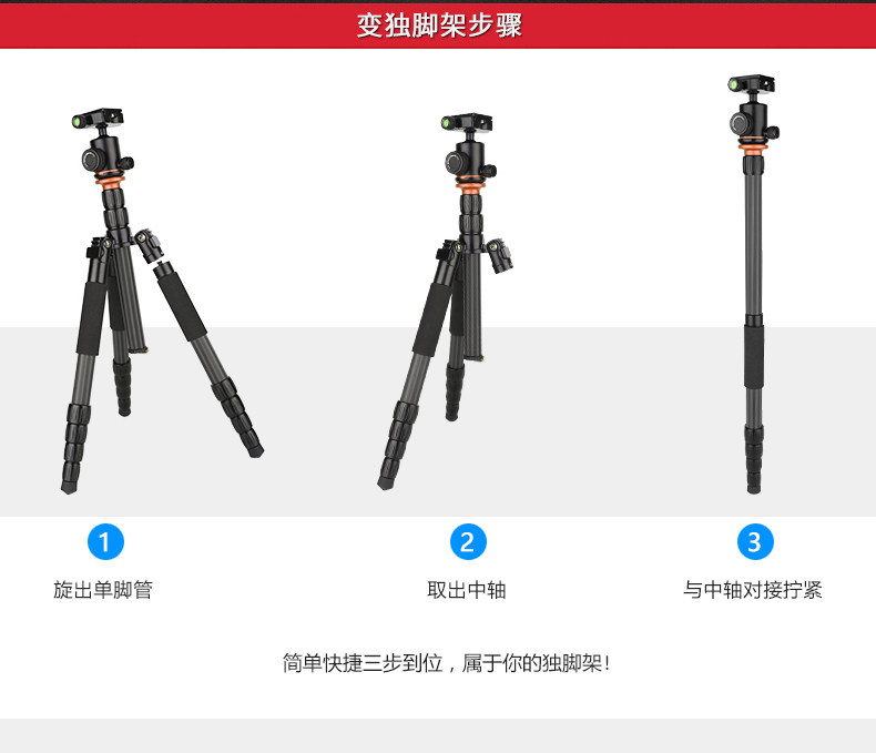 SL398C_10.jpg