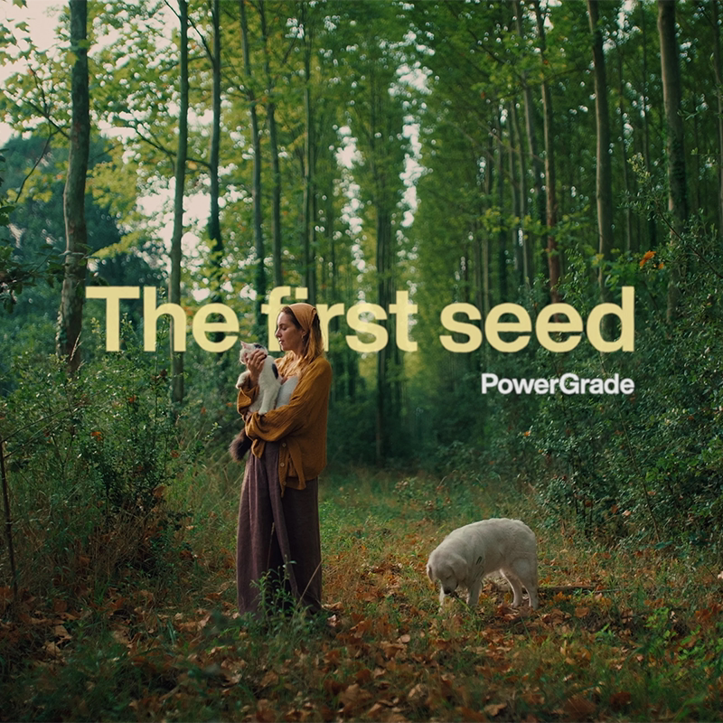 The First Seed Film Simulation Package with Davinci Color Grading Nodes + Lut Presets + Log Gray Film Material