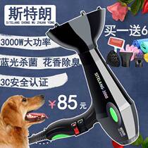 Pet Hair Dryer High Power Super Silent Dogs Electric Blow Gold Wool Teddy Kitty Large Dog Special Blow Water Machine
