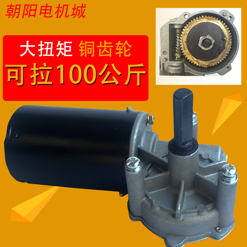 Chaoyang worm gear reducer motor 24v 80w90w100w turbine DC reducer Copper turbine roll gate