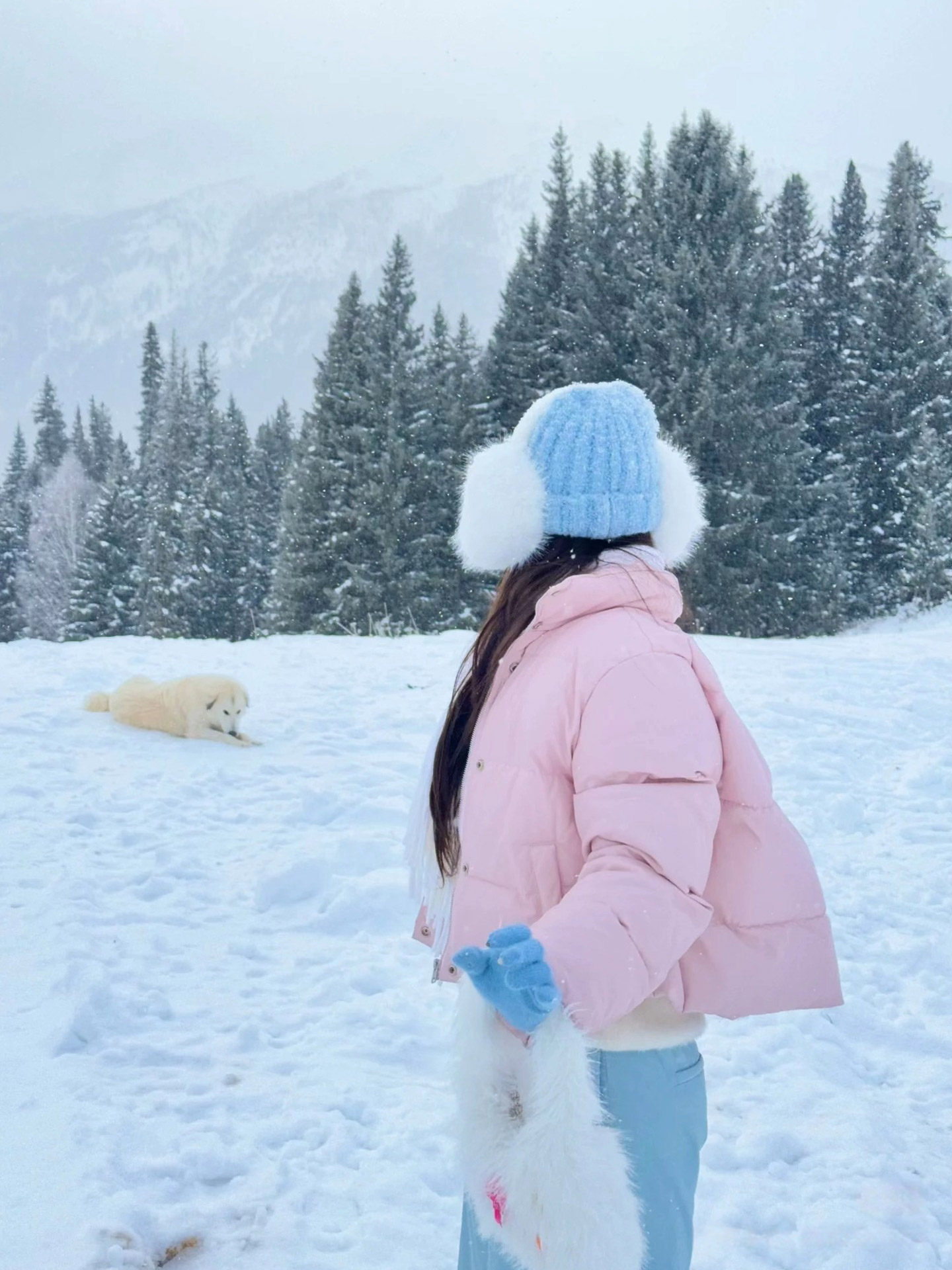 Gloves Northeast Harbin Cold-Proof Gear Blue Women's Winter New Style Fingerless Touchscreen Warm Cute Knitted Gloves