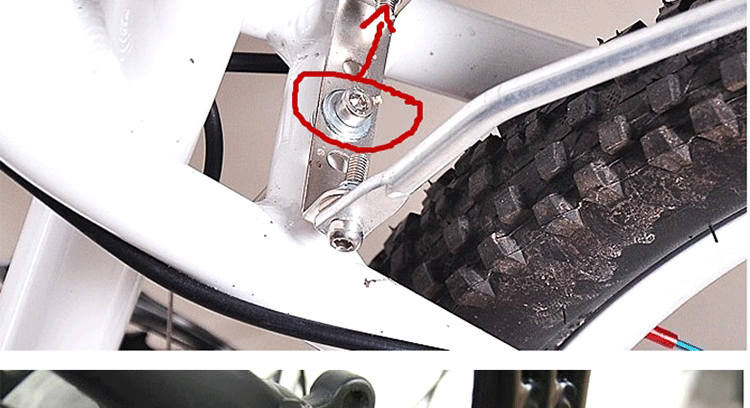 Porte-bagages pour vélo - Ref 2410024 Image 10