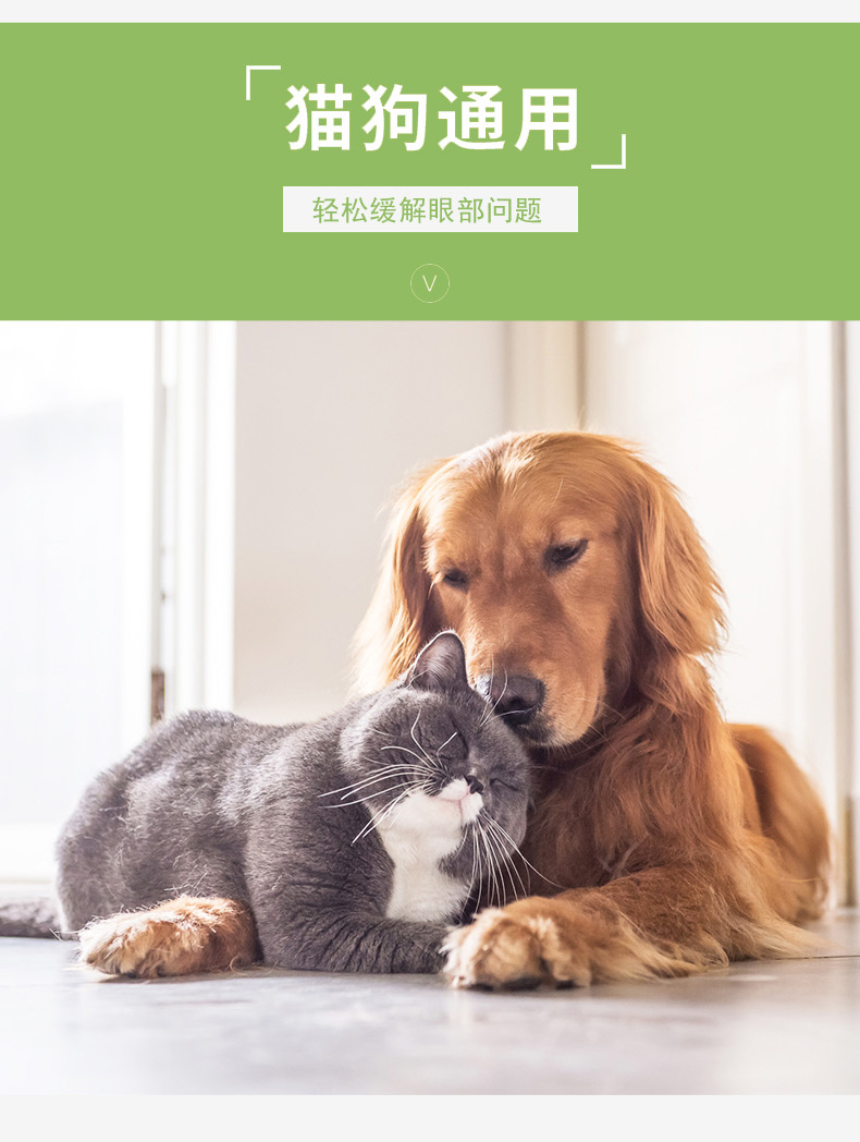 Tuyết chó thơm để nước mắt tạo tác mắt lau vật nuôi hơn gấu mắt bọ chét kháng khuẩn - Cat / Dog Beauty & Cleaning Supplies lược chải lông thỏ	