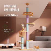 Solid wood cat climbing frame Tongtianzhu cat nest cat tree one-piece stand that stands tall and does not take up space platform space capsule villa