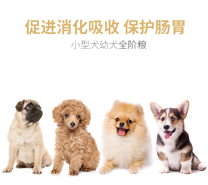 Chó con điên prebiotic thức ăn cho chó Teddy gấu Xiong Bomei schnauzer chó nhỏ chó con thức ăn chung 6 kg - Chó Staples thức ăn royal canin cho chó