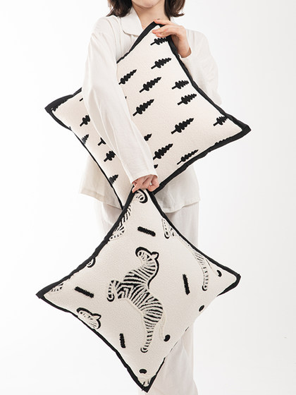 抱枕靠垫沙发客厅抱枕套不含芯轻奢高级感靠枕套超大靠背垫罩ins