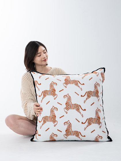 抱枕靠垫沙发客厅靠垫套抱枕套不含芯轻奢高级感靠枕套超大靠背垫