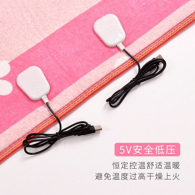 ແຮງດັນຕໍ່າ 36V power bank charger ໂທລະສັບມືຖື 5V USB mattress electric blanket dormitory construction site heating mattress