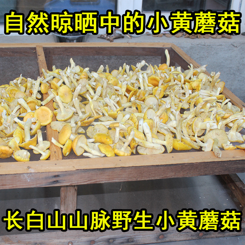 Wild Northeast Special Produce Small Yellow Mushroom Dry Goods Dry Pine Mushroom 250g Fresh Cream Mushroom Grade Little Chicken Stew Alsan