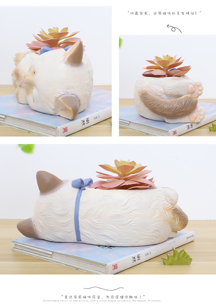 https://img.alicdn.com/imgextra/i3/2296399264/O1CN01VcWIqM2IIxmsJYuI2_!!2296399264.jpg 花盆多肉花盆套裝組合新款爆盆可愛動物造型貓咪大號創意卡通個性盆栽盆