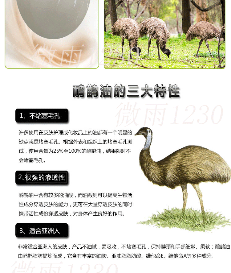Oyster sauce, kem chính hãng, kem massage, cơ thể, kinh tuyến, cạo, hút ẩm, lạnh, đau khớp, dầu đà điểu vaseline dưỡng da