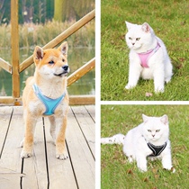 Dog traction rope strap strap dog chain walk dog rope cat necklace return package shipping