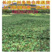 Guangzhou package to send anti-aircraft camouflage net anti-auction site cover mountain green net factory building with jungle camouflage net