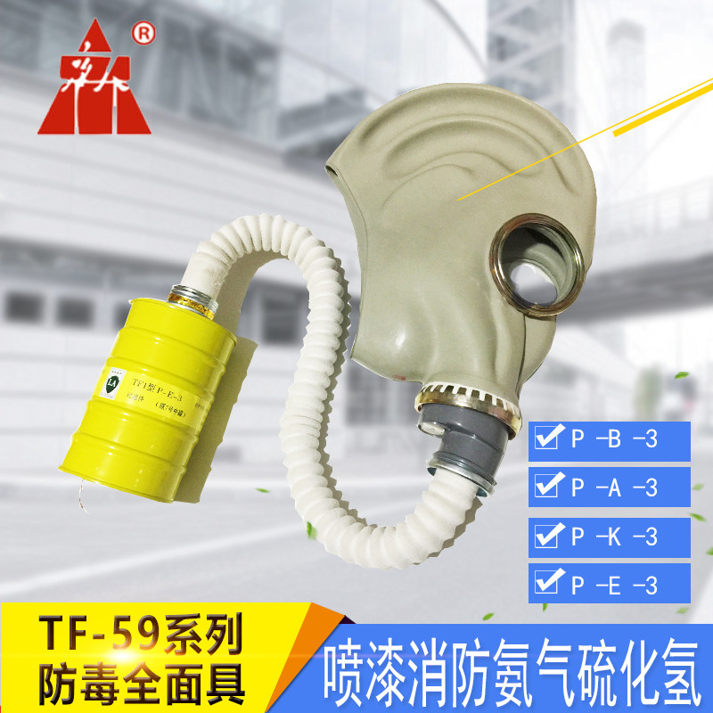 Donman Anti-poison all-round with TF59 Ghost Face Mask Grain Fumigation Fire Spray Ammonia Gas Protective Suit