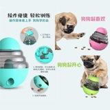 Discovery Dog, собака, падающие домашние животные, кормить головоломку с головоломкой, головоломки, собаки и кошки, собаки и кошки, закуски, закуски, шарик встряхивания