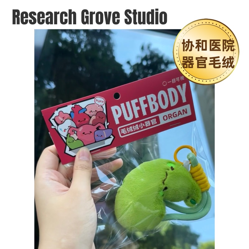 Peking Union Medical College Hospital Cultural and Creative Organ Plush Keychain Medical Student Research Pendant Research Medical Cultural and Creative Products